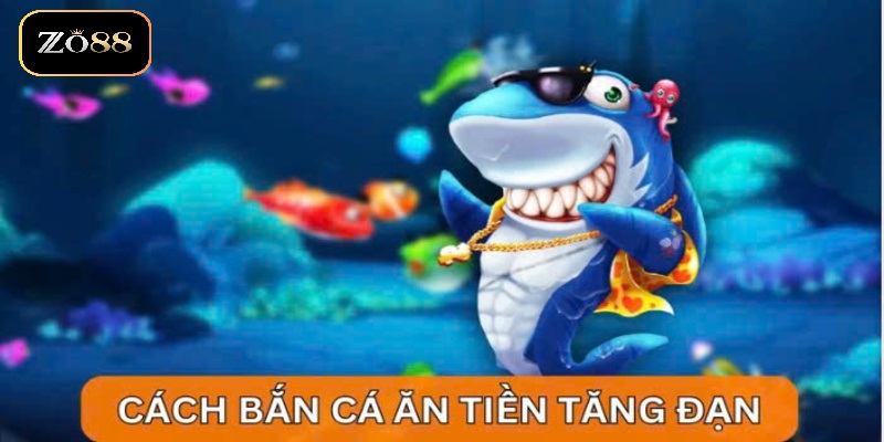 Mẹo chơi săn cá lớn dễ dàng 