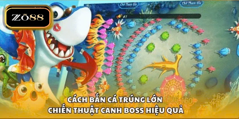 Hướng dẫn cách cá trúng lớn Zo88 – Mẹo chơi cho mọi người chơi 4 Cách bắn cá trúng lớn theo chiến thuật