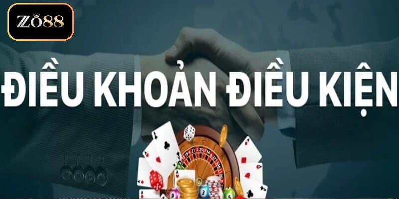Điều kiện điều khoản 1 Thông tin chung về điều kiện điều khoản ZO88