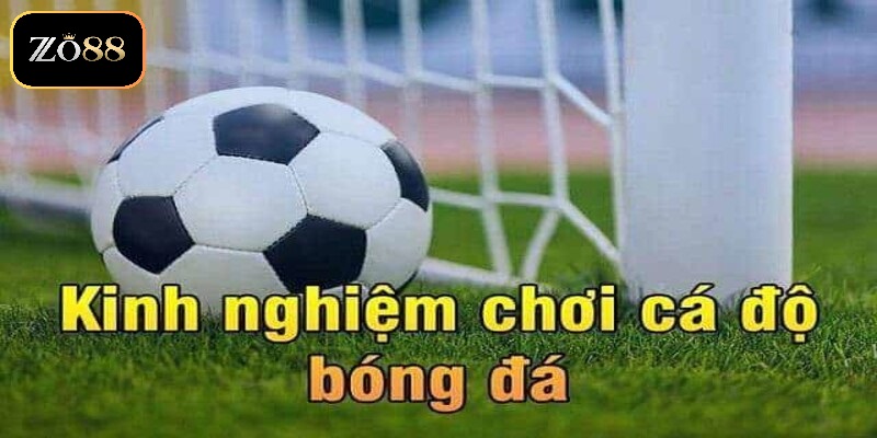 Kinh Nghiệm Soi Kèo ZO88: Bí Quyết Thắng Lớn Cho Người Chơi 4 kinh nghiệm soi kèo hiện nay