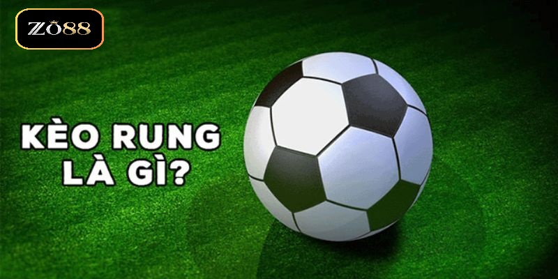 Soi Kèo Rung Hiệu Quả ZO88 Hướng Dẫn Chi Tiết Cho Người Mới 2 Thông tin chung về Soi kèo rung hiệu quả ZO88