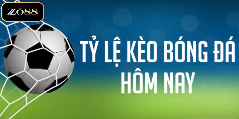 Các loại kèo cược có trong tỷ lệ kèo chuẩn 